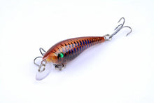 Load image into Gallery viewer, 6 pc set 3D Bionic Bass Bait