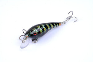 6 pc set 3D Bionic Bass Bait