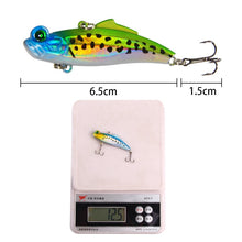 Load image into Gallery viewer, New Fishing Lure 3D Eyes Crankbait VIB Lures
