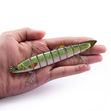 Load image into Gallery viewer, Slithering Segmented eel lure set