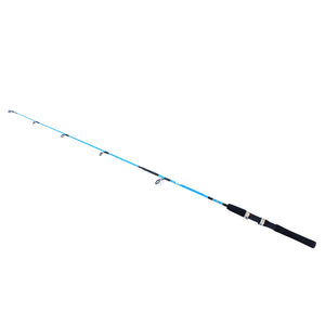 Carbon Spinning Fishing Pole