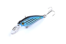 Load image into Gallery viewer, 6pc set Vivid and Realistic Lures