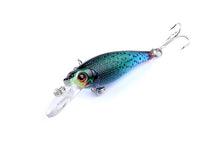 Load image into Gallery viewer, 6pc set Vivid and Realistic Lures