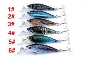 6pc set Vivid and Realistic Lures